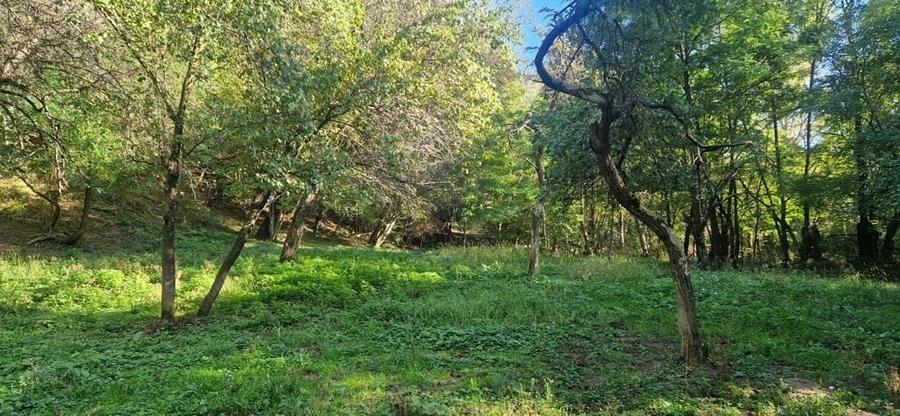 Teren de 3720 mp, în Govora