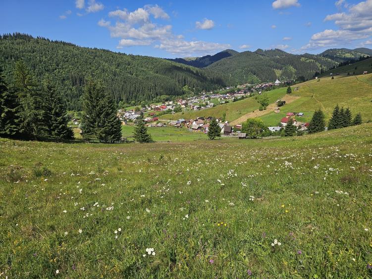 Teren extravilan de vanzare cu priveliste superba in Bucovina zona Breaza - 4