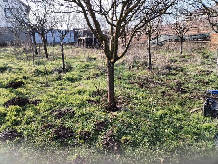 Teren intravilan de 609 mp, în Vidra