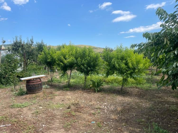 Casă individuală cu 3 camere cu Canalizare în Bărăbanț