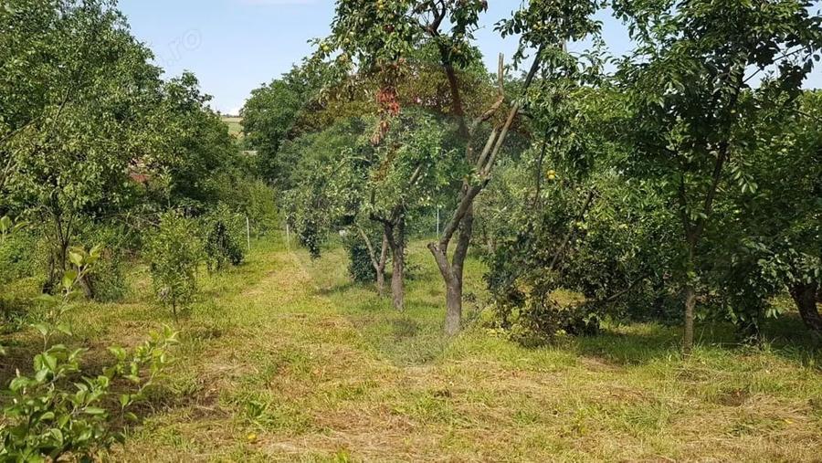 Casă cu Teren 2140 Mp în Delenii
