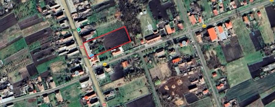 Casă cu 6 camere cu Teren 4300 Mp în Otelec