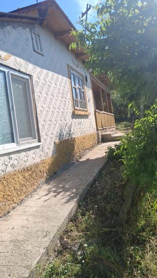 Casă cu Teren 1470 Mp în Fântânele