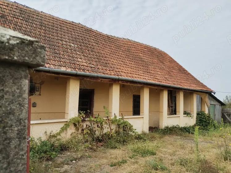 Teren de 6153 mp, în Sinersig