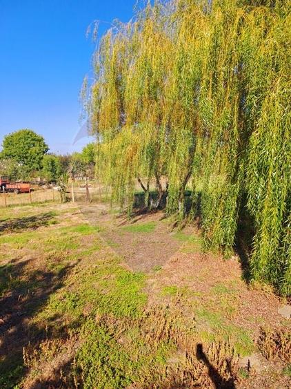 Teren intravilan de 6850 mp, în Izvor
