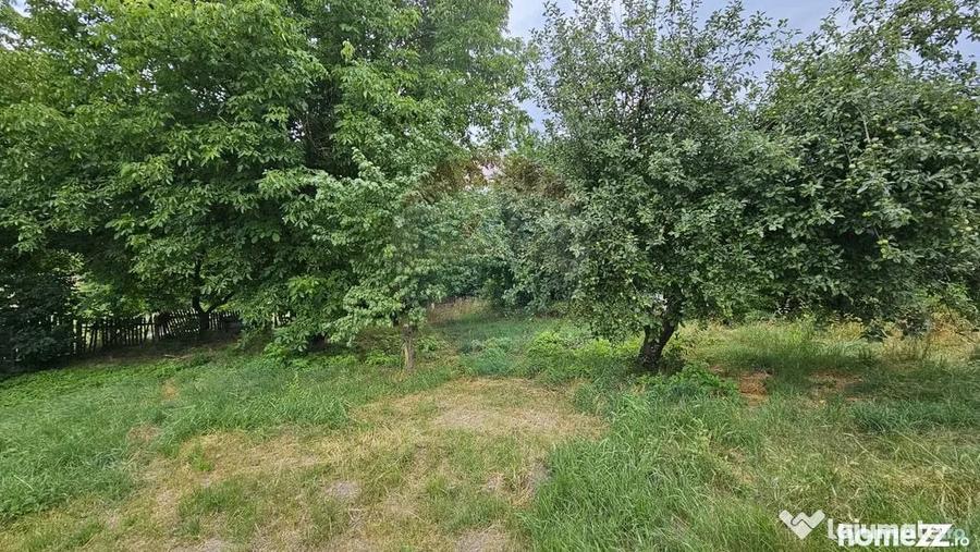 Casă cu 2 camere cu Teren 9200 Mp în Pădureni (Șendriceni)