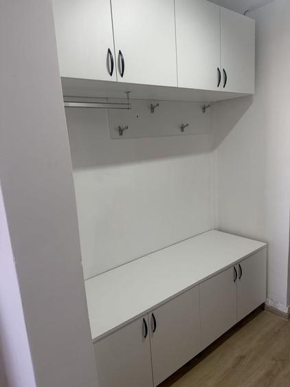 Garsonieră, mobilată în Brazda lui Novac