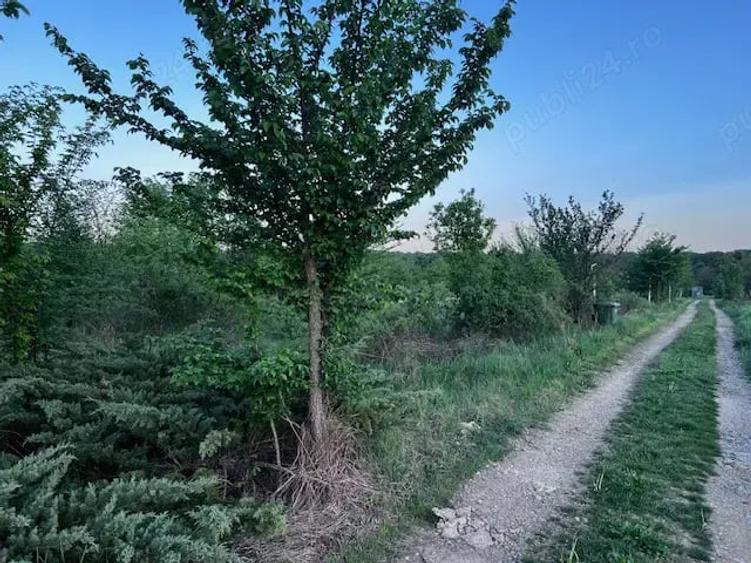 Teren de 2300 mp, în Ciolpani
