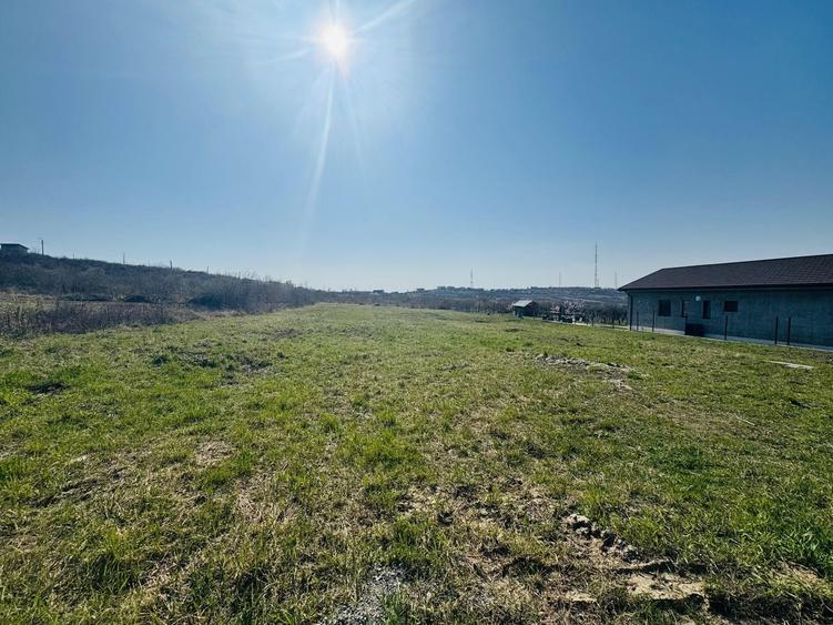 Teren Intravilan 1000 mp Dealuri - Oradea - 4