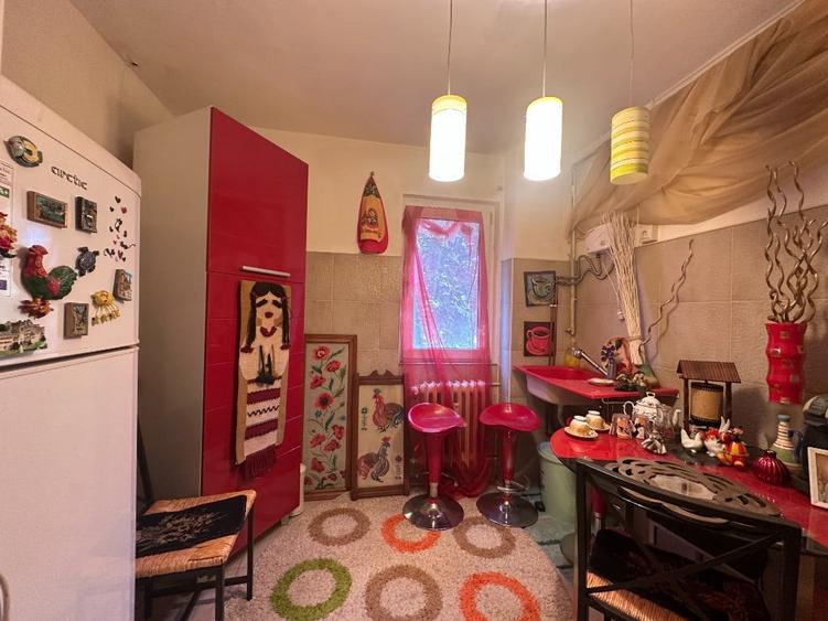 VIGAFON - Apartament 2 camere Nord-Cameliei - 3