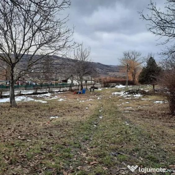 Teren în Central