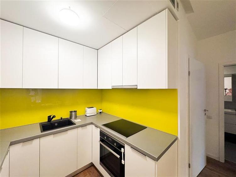 Apartament cu 2 camere semidecomandat, mobilat în Herăstrău