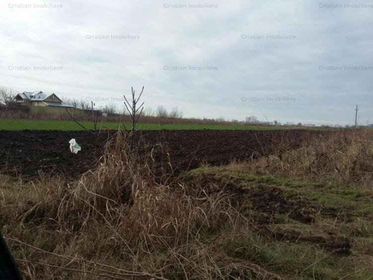 Teren intravilan de 3000 mp, în Chiscani