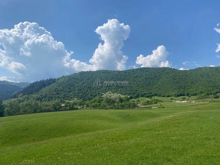 Teren de 2006 mp, în Gura Râului