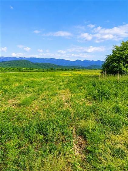 Teren agricol extravilan de 7000 mp, în Periferie