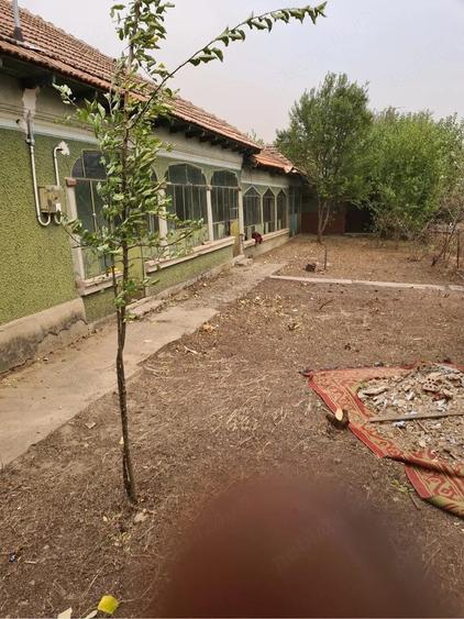 Casa de vanzare in Suhaia, jude?ul Teleorman 2.560 mp teren - 4