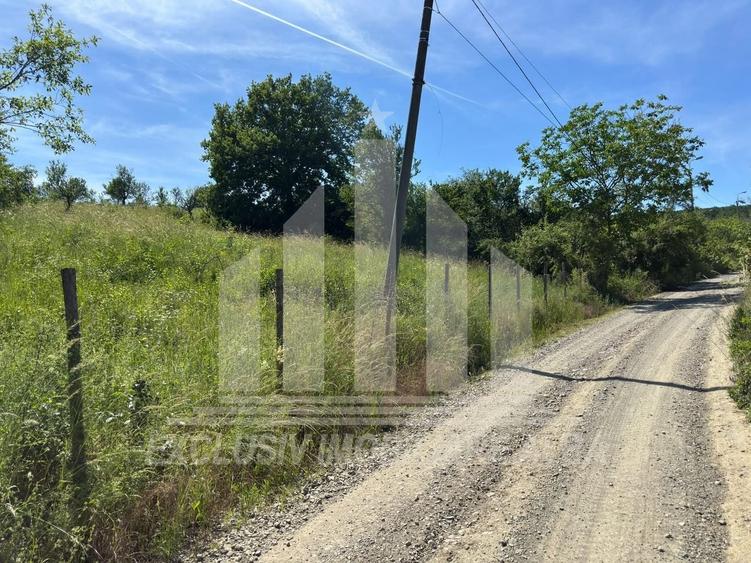 Teren Construcții intravilan de 1654 mp, în Cetate