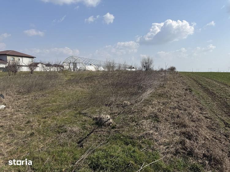 Teren intravilan Frumu?ani, zona Pasarea | Deschidere 22,5 m - 4