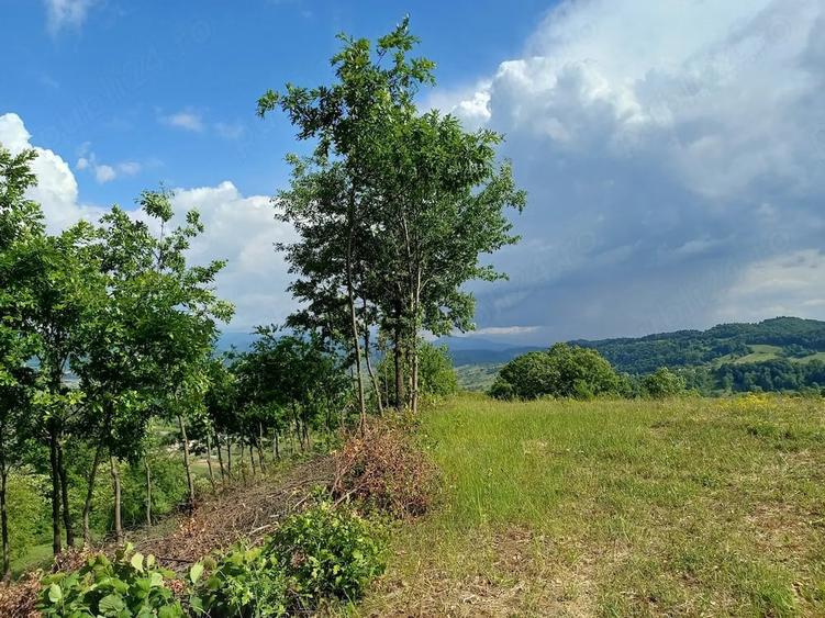 Teren de vanzare Ro?ia, Bihor - 3