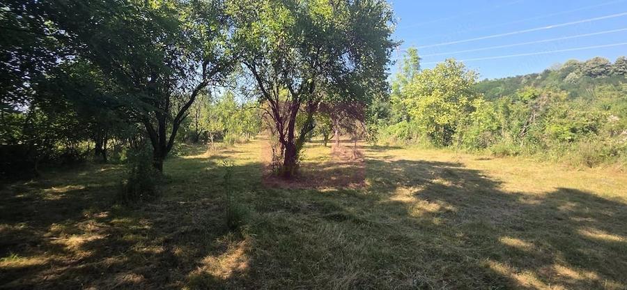 Teren de 3375 mp, în Brebu