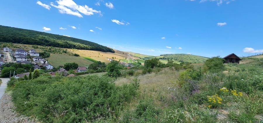 Teren Construcții intravilan de 1598 mp, în Sâncraiu de Mureș