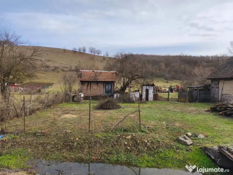 Teren de 6000 mp, în Julița