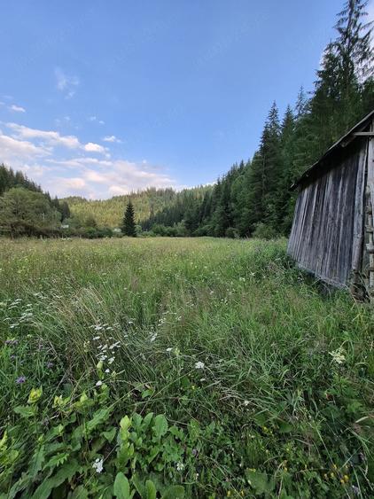 Teren de 7400 mp, în Colacu