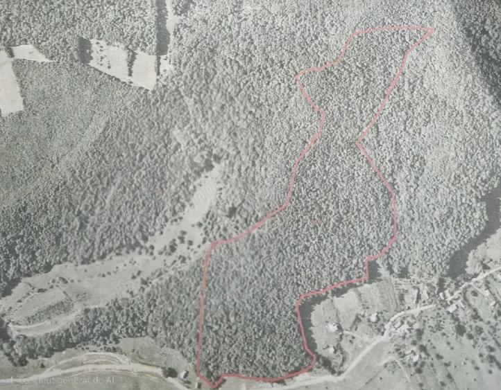 Teren de 137400 mp, în Central