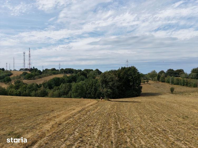 Teren de 17800 mp, în Șinteu