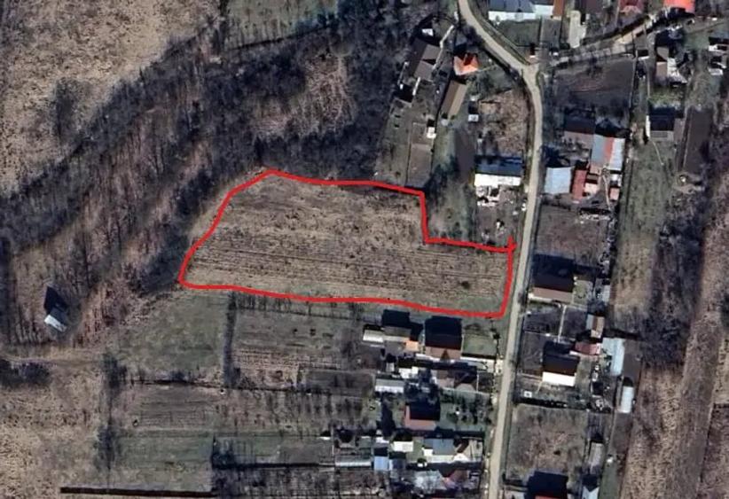 Teren de 4400 mp, în Hârsa