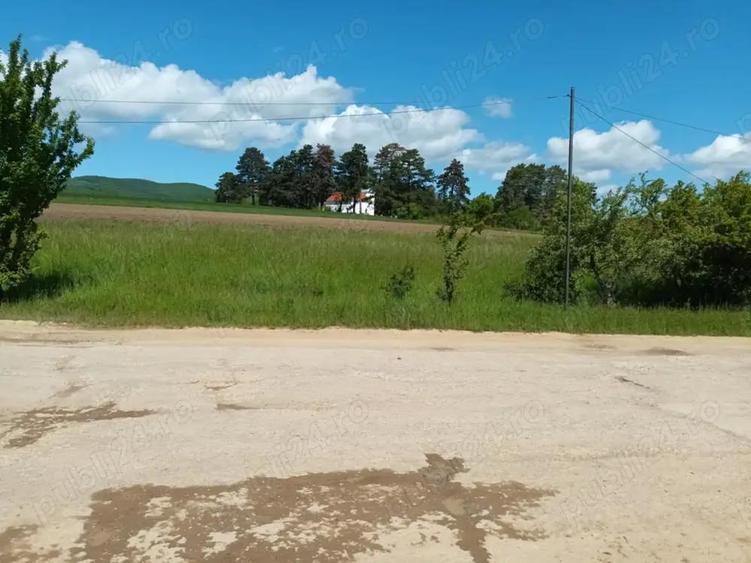 Teren de 2200 mp, în Valea Crișului