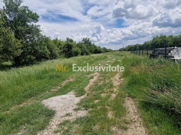 Teren Construcții intravilan de 3006 mp, în Smeura