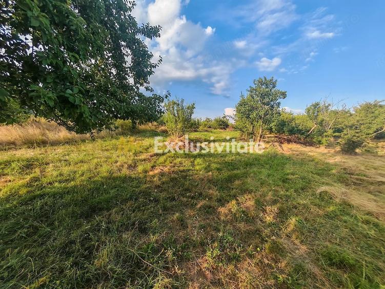 Teren de 1600 mp, în Central