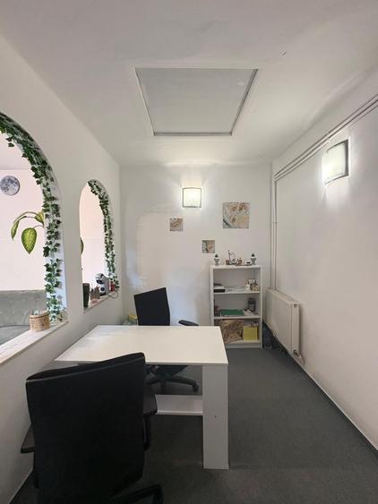 MÂNTULEASA | VILĂ EXCLUSIVISTĂ ÎN CENTRUL BUCUREȘTIULUI – 1.100.000 € - 5