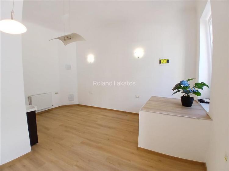 RECO Spatiu comercial central