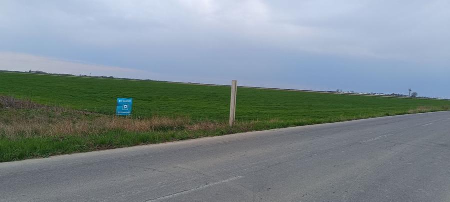 Teren agricol extravilan de 50000 mp, în Șag