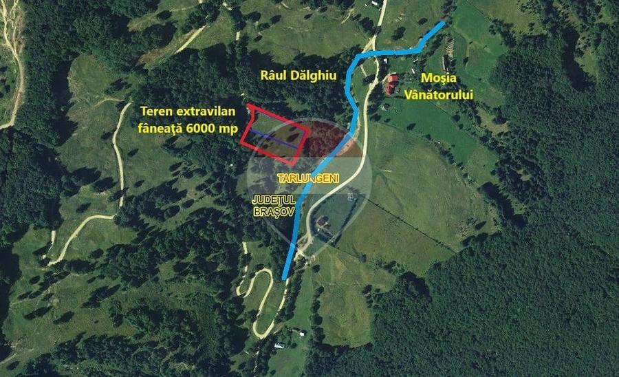 Teren de 6000 mp, în Dălghiu