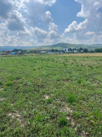 Teren Construcții intravilan de 650 mp, în Tomești