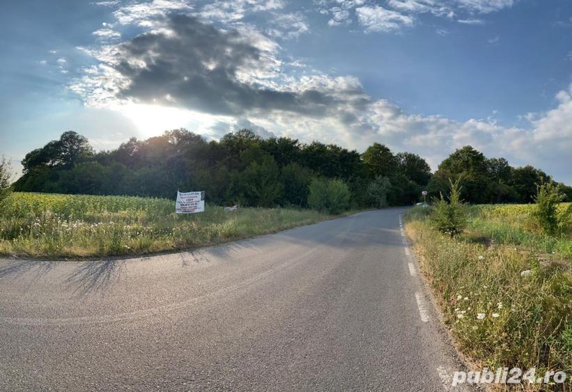 Teren în Săbăreni