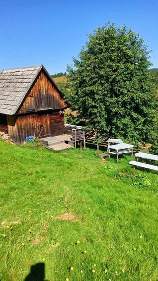 Vand teren intravilan - 2