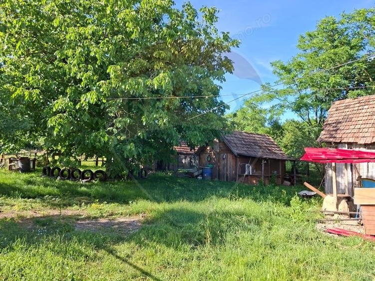 Casă cu 3 camere cu Teren 5800 Mp în Lechința