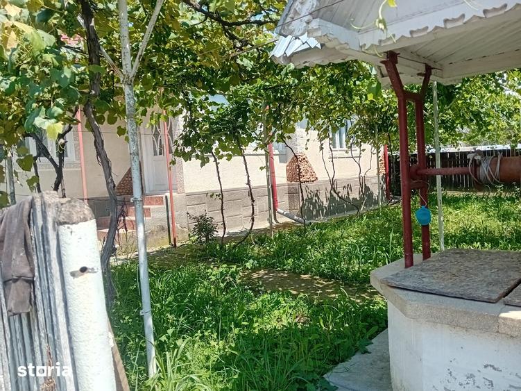 Casă cu 5 camere cu Teren 200 Mp în Curița