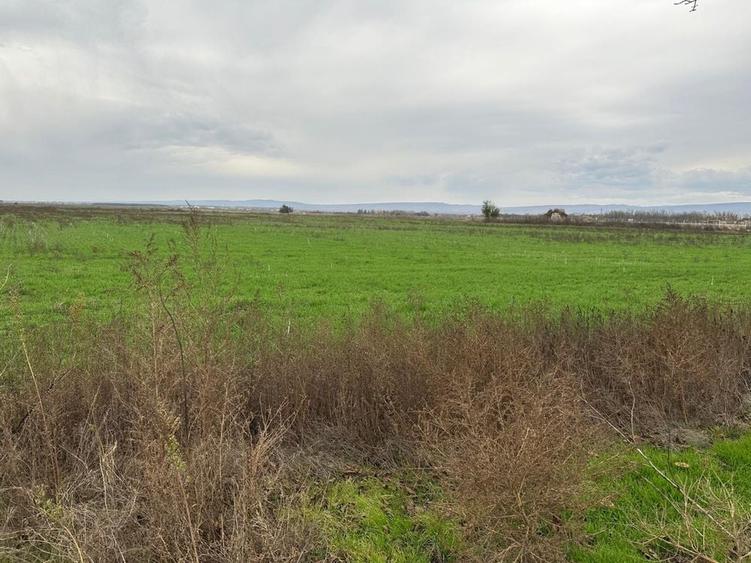 Teren de 45000 mp, în Brăilei