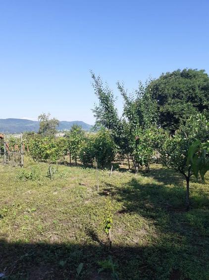 Casă cu 4 camere în Valea Nucului