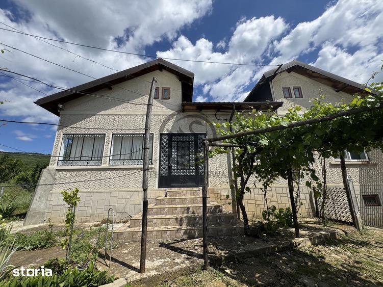 Casă cu 5 camere cu Teren 3117 Mp în Dumbrăvești