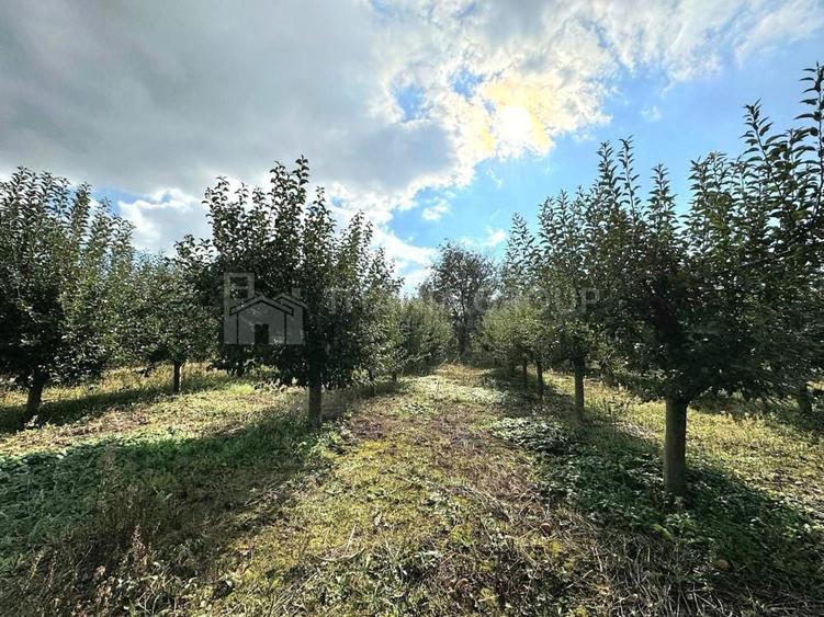 Teren de 2902 mp, în Dămienești