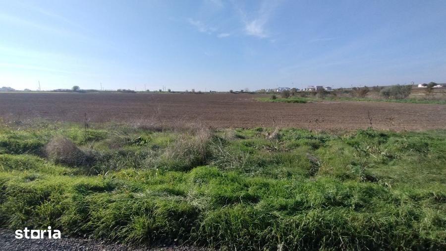 Teren de 5000 mp, în Central