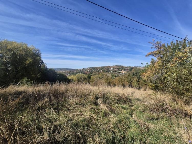 Teren Construcții intravilan de 4420 mp, în Vâlcele