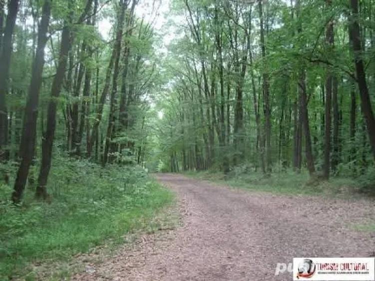 Casă în Bucșani