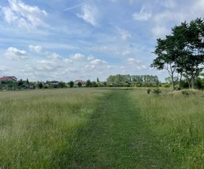 Teren Construcții intravilan de 906 mp, în Sânleani